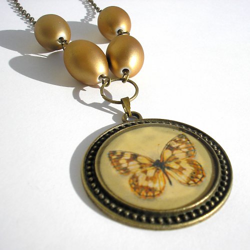 Papillon d'or — foto 3
