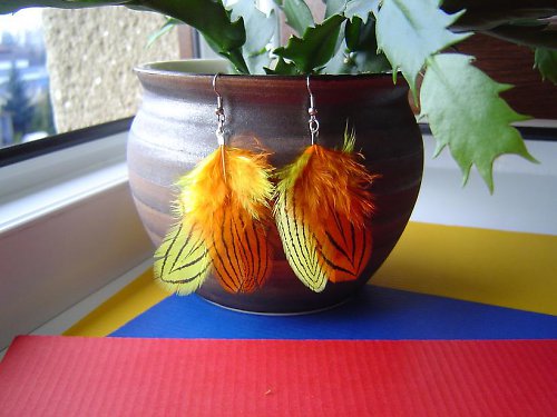 Svítání — foto 3