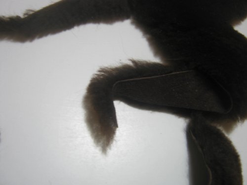 Kůže - kousky CH — foto 2