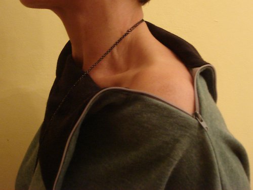 Svetřík s úžasným límcem — foto 2