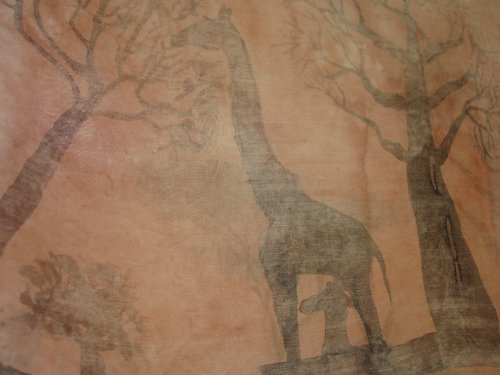 Vzpomínky na Afriku — foto 4