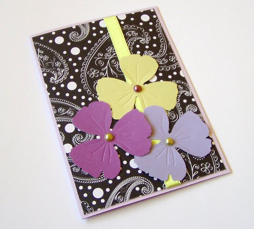 Černofialkové přáníčko — foto 2