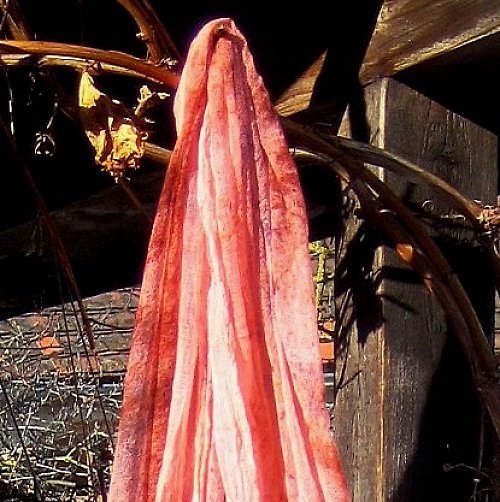 RŮŽOVÁ — foto 5