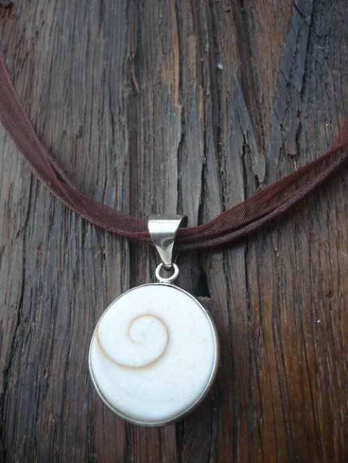 Shiva Shell — foto 2