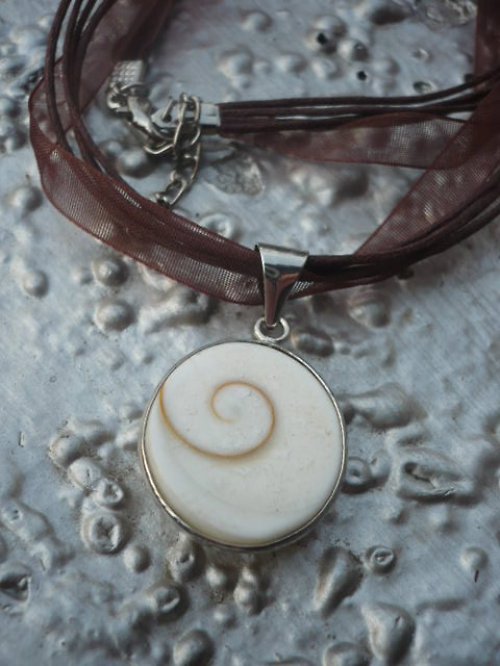 Shiva Shell — foto 4