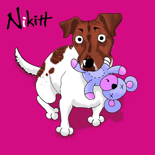 Jack russel — foto 2