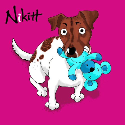 Jack russel — foto 3
