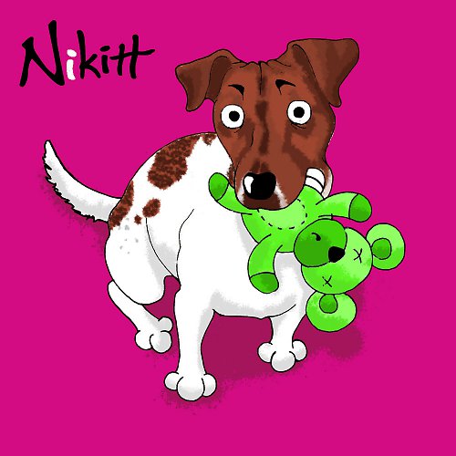 Jack russel — foto 4