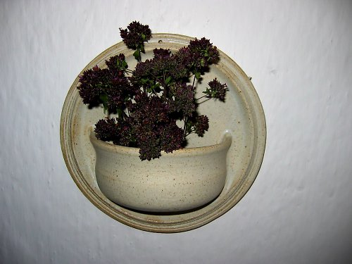 Závěsný květináč — foto 3