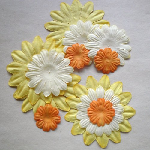 Kytičky Sunflower — foto 2