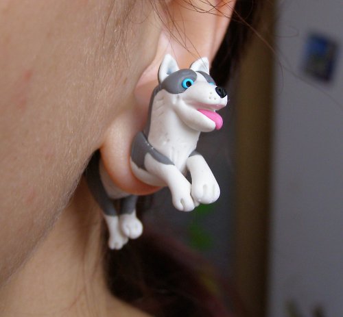 Husky — foto 5