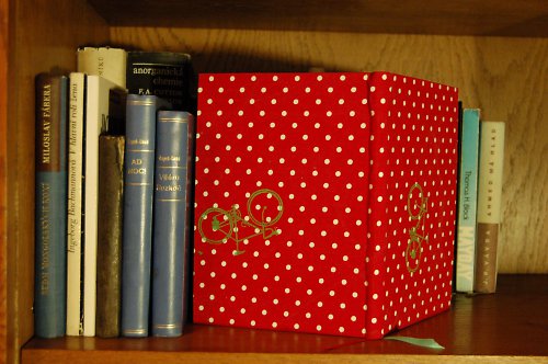 Diář 2011 - Karkulka pro Bjetku — foto 2