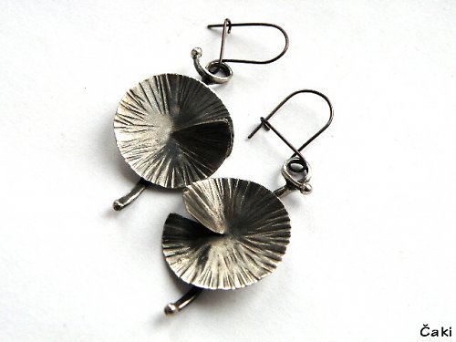 Spirály......... — foto 4