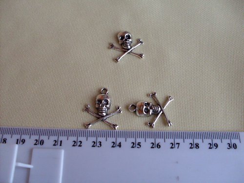 Skull — foto 2