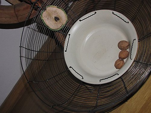 Mísa obří... "jednoduchost v bílé"... — foto 3
