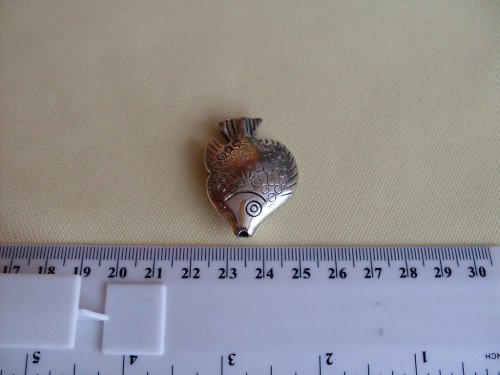 Ryba z tibet. stříbra — foto 3