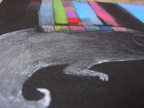 Chameleon — foto 2
