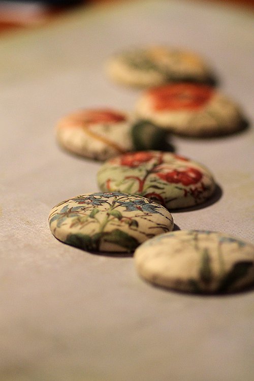 Brutnák lékařský - 38mm buton — foto 2