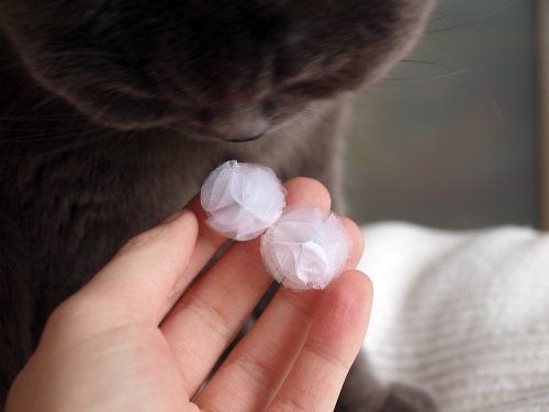 Kdyby sníh nikdy neroztál... — foto 2