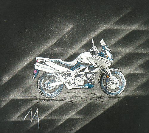 SUZUKI - rezervace — foto 2