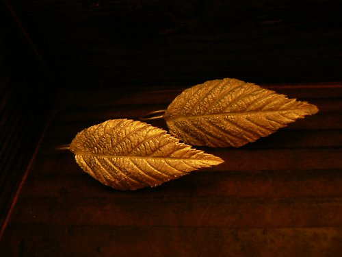 Ostružiny 1,...kolekce listy — foto 2