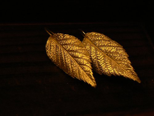 Ostružiny 2,...kolekce listy — foto 4