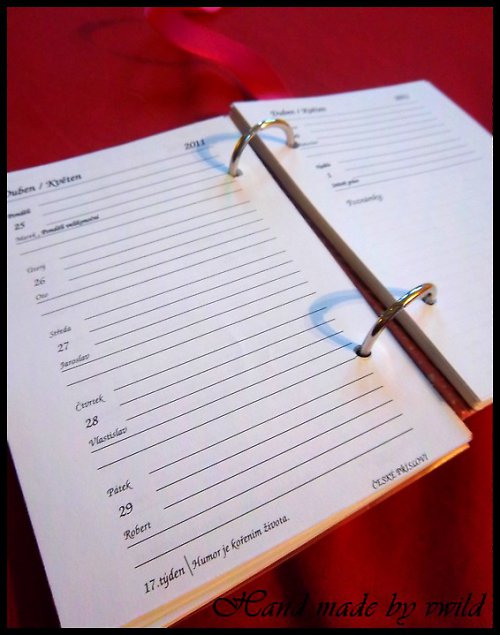 Diář 2011 — foto 4