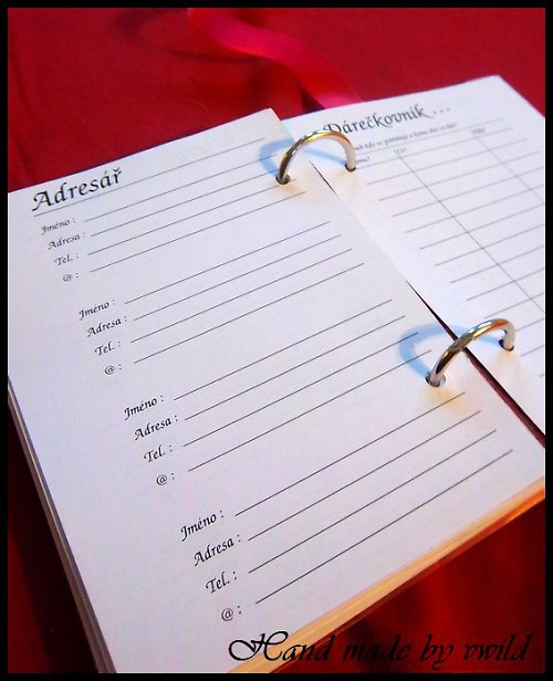 Diář 2011 — foto 5