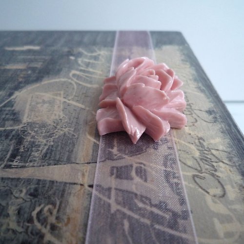 Rose de Paris Rose — foto 5