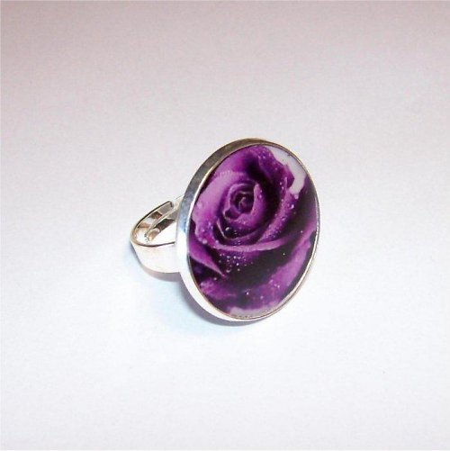 Wet Rose — foto 2