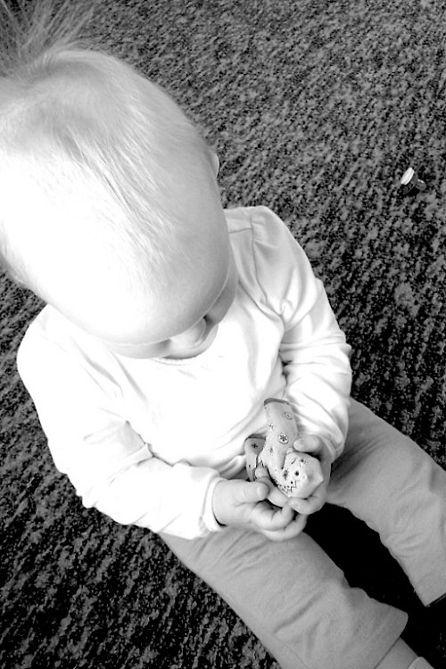 Konik ŠANTILKO — foto 3