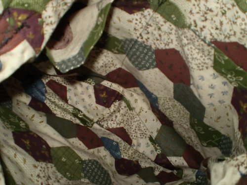 Kvitnúce kaktusy — foto 2