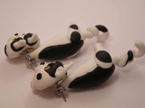 Micky — foto 4