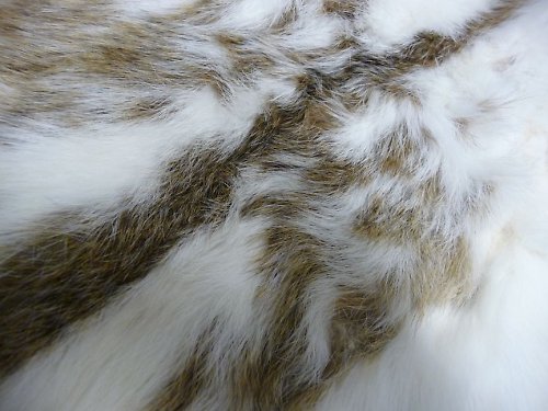 Králík 5 — foto 2