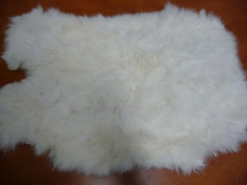 Králík 6 — foto 2