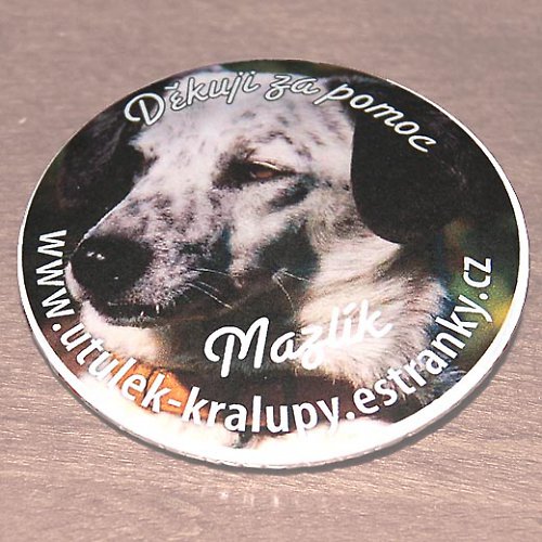 Mazlík - obyvatel našeho útulku — foto 2