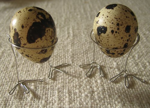 Křepelčí kraslice — foto 2