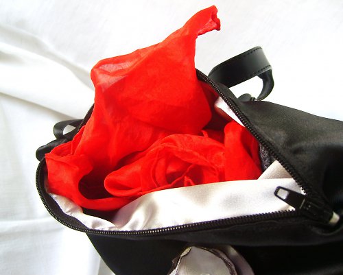 Bižu saténka — foto 2