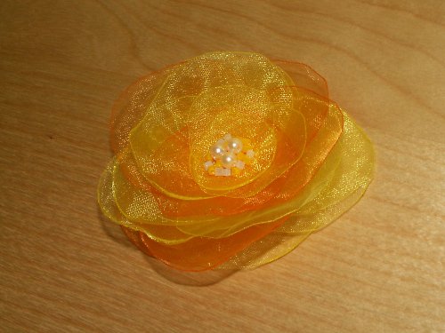 Jarní ? ... — foto 3