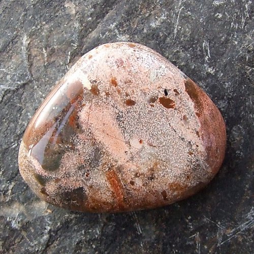 Jaspis Leopardí — foto 2
