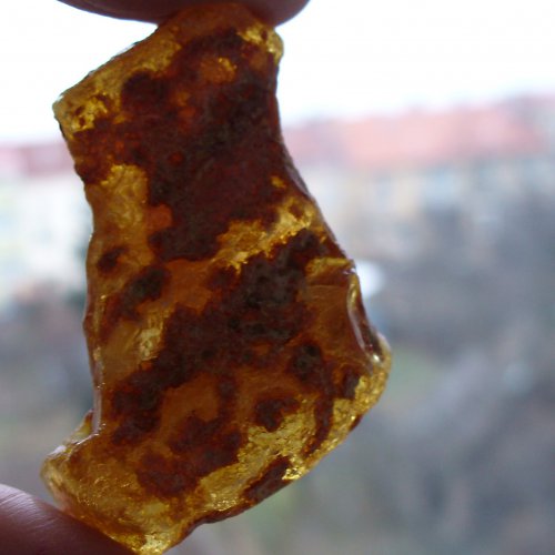 Jantar natur "BOTA" — foto 4