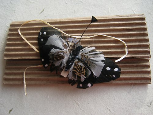 Motýlí obálka — foto 2