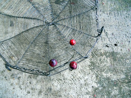 Podnos — foto 3