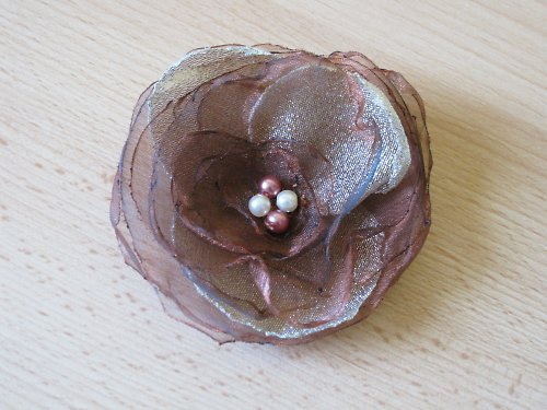 Třpytivěhnědý květ — foto 2