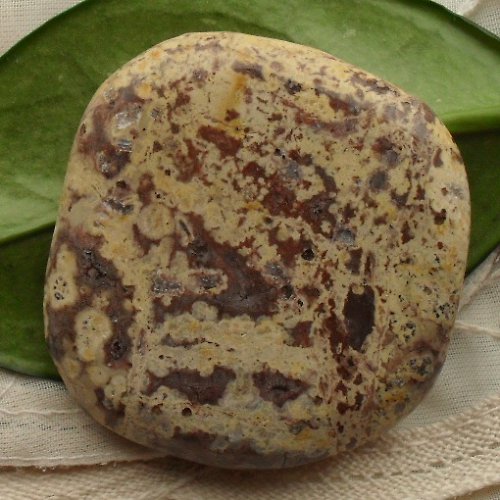 Jaspis leopard 44x41mm — foto 2