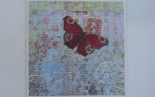 Letí, letí poštovní motýlek — foto 2