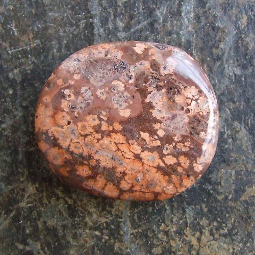 Jaspis Leopardí — foto 2