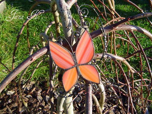 Oranžový motýl — foto 2