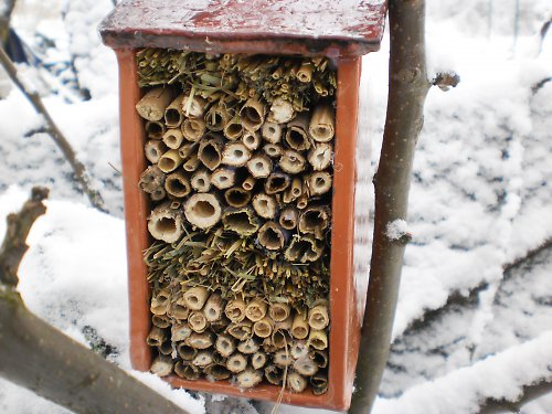 Hmyzí domeček závěsný — foto 2