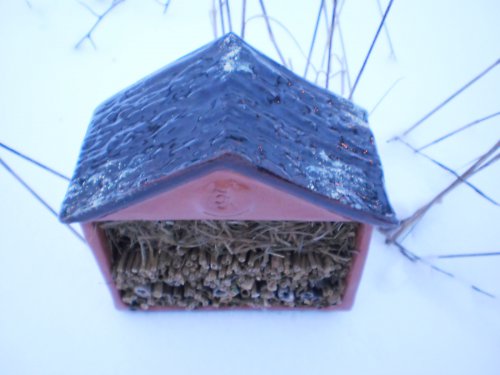 Hmyzí domeček — foto 2